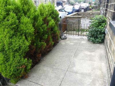 Picture 15
